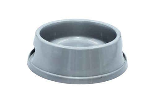 5887-PhotoRoom (1).jpg